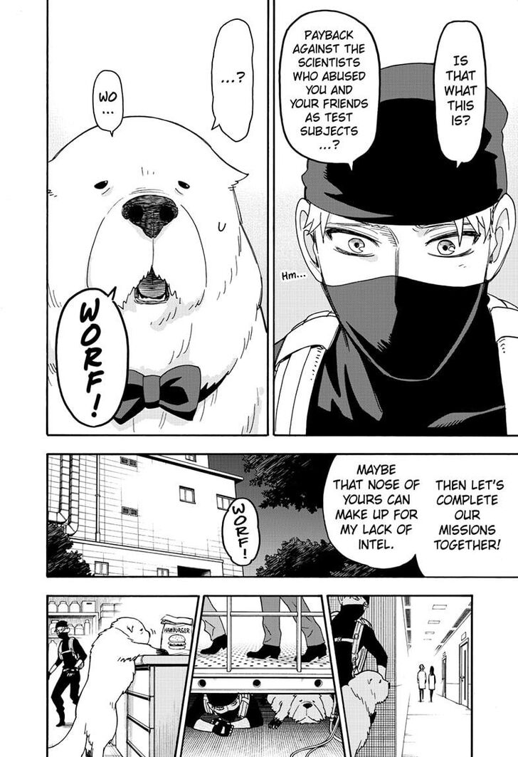Spy x Family, Chapter 40 image 17
